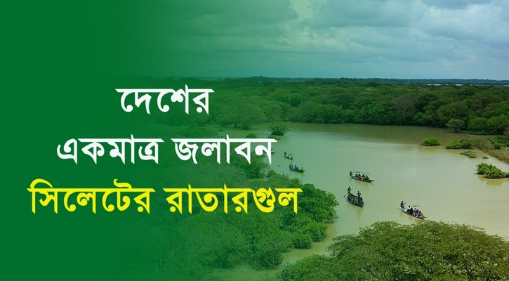 দেশের একমাত্র জলাবন সিলেটের রাতারগুল